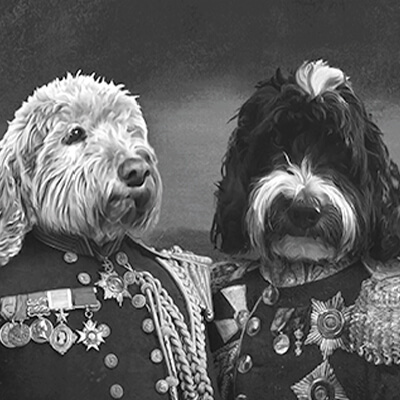 Bo & Ringo profile picture
